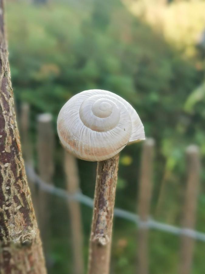 Ferienglueck An Der Nordsee Buche Deine Erdgeschoss-Ferienwohnung Mit Kamin Terrasse Und Eingezaeuntem Garten Fuer Unvergessliche Auszeiten Altfunnixsiel Luaran gambar