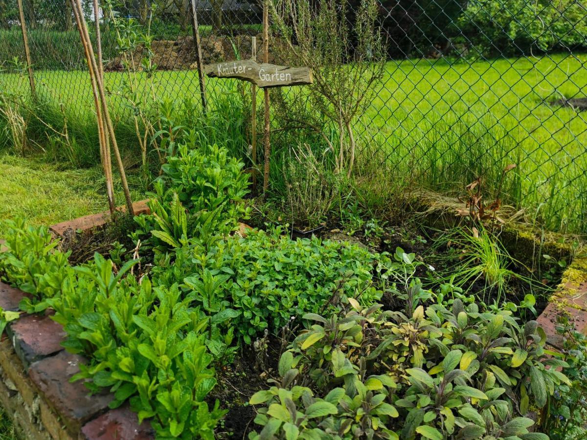 Ferienglueck An Der Nordsee Buche Deine Erdgeschoss-Ferienwohnung Mit Kamin Terrasse Und Eingezaeuntem Garten Fuer Unvergessliche Auszeiten Altfunnixsiel Luaran gambar